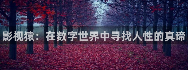 桔子网电影：影视猿：在数字世界中寻找人性的真谛