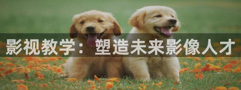 桔子视频软件下载：影视教学：塑造未来影像人才