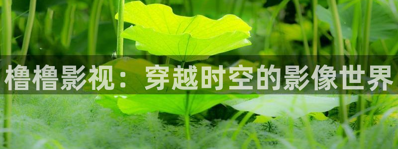 桔子视频精品：橹橹影视：穿越时空的影像世界
