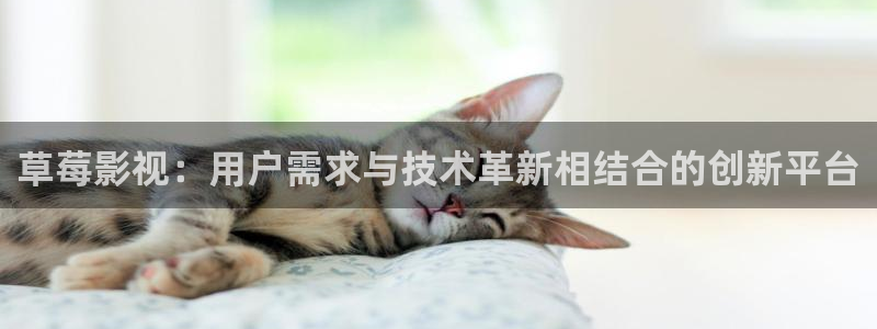 桔子视频怎么下载视频：草莓影视：用户需求与技术革新相结合的创新平台