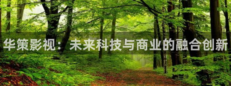 橘子和桔子：华策影视：未来科技与商业的融合创新