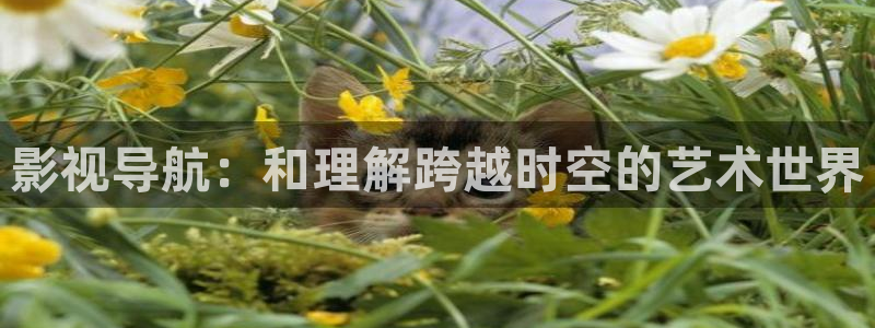 桔子视频电视剧在线观看：影视导航：和理解跨越时空的艺术世界